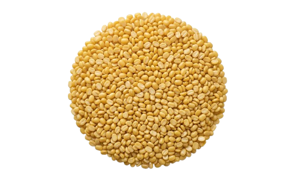 Polished Moong Dal