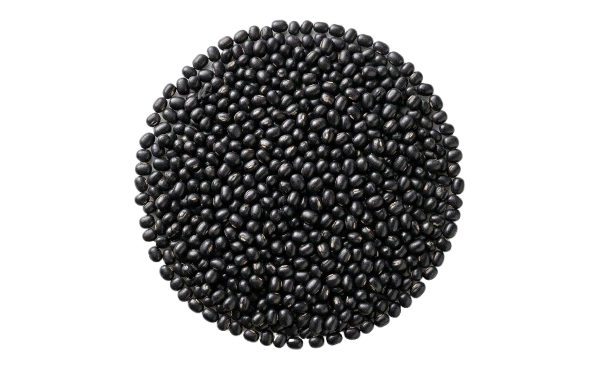 Polished Urad