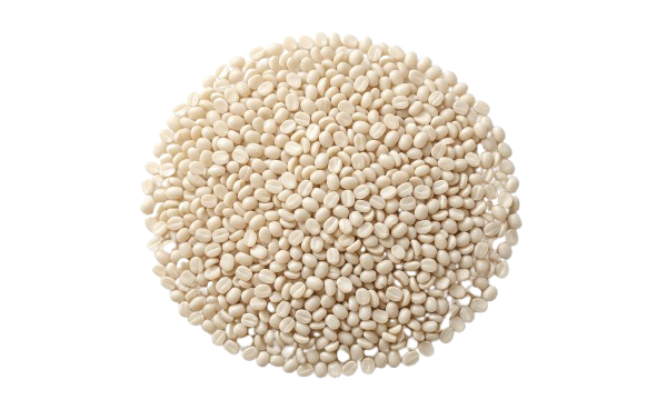 Polished Urad Dal